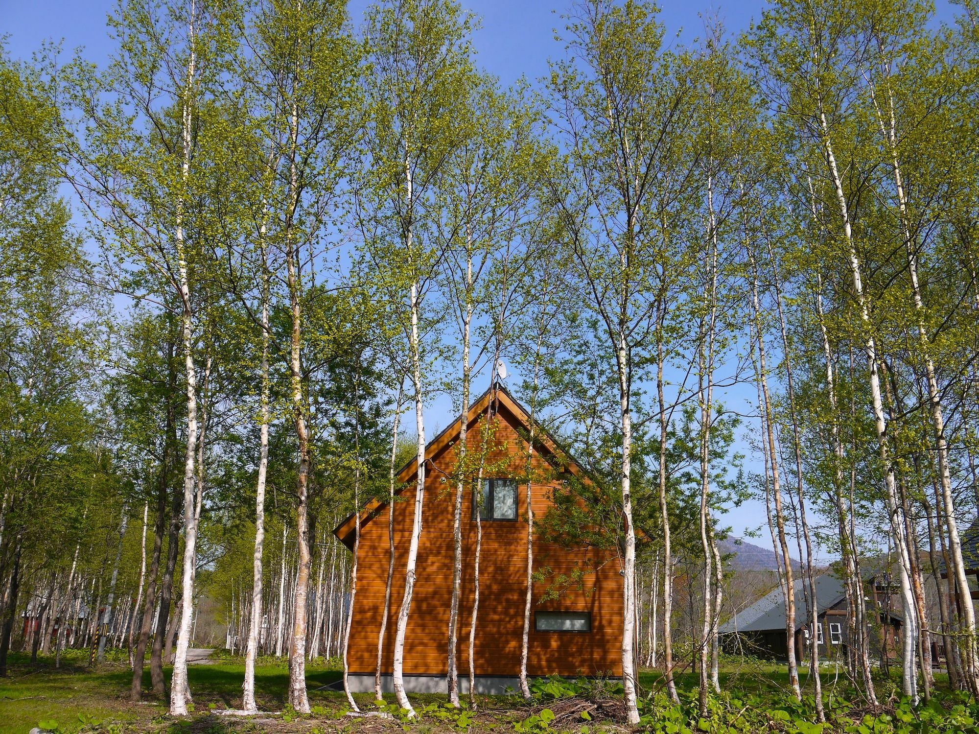 Country Resort Niseko Kutchan Exterior photo